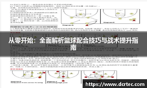 bellbet贝博官网